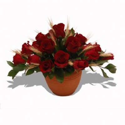Amore (1)