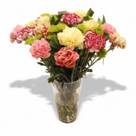 Mixed Carnations in a Vase