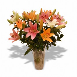Mixed Lilies in a Vase