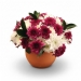 Fresh Flowers - Amethyst Delight