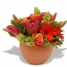 Fresh Flowers - African Sky
