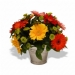 Fresh Flowers - Happiness