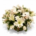 Fresh Flowers - Peace
